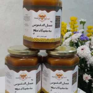 Miel de Daghmouss