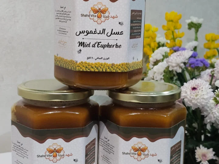 Miel de Daghmouss